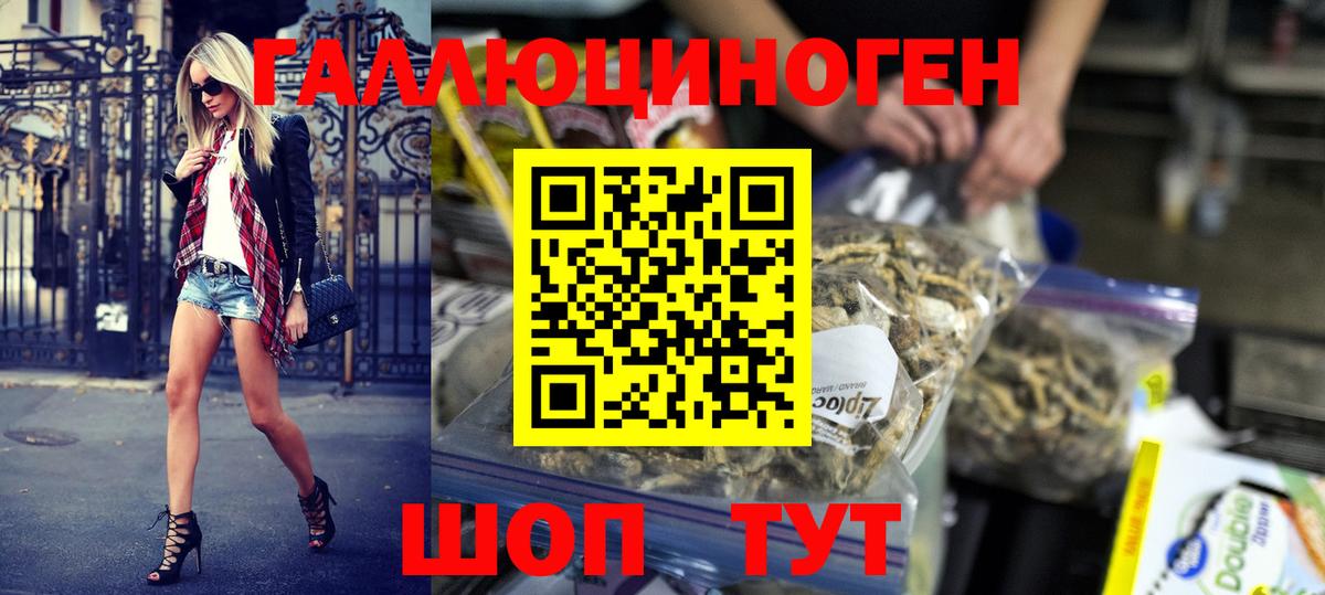 Волгоград  Псилоцибиновые грибы Psilocybine cubensis  Вход с VPN  Псилоцибиновые грибы мухоморы 